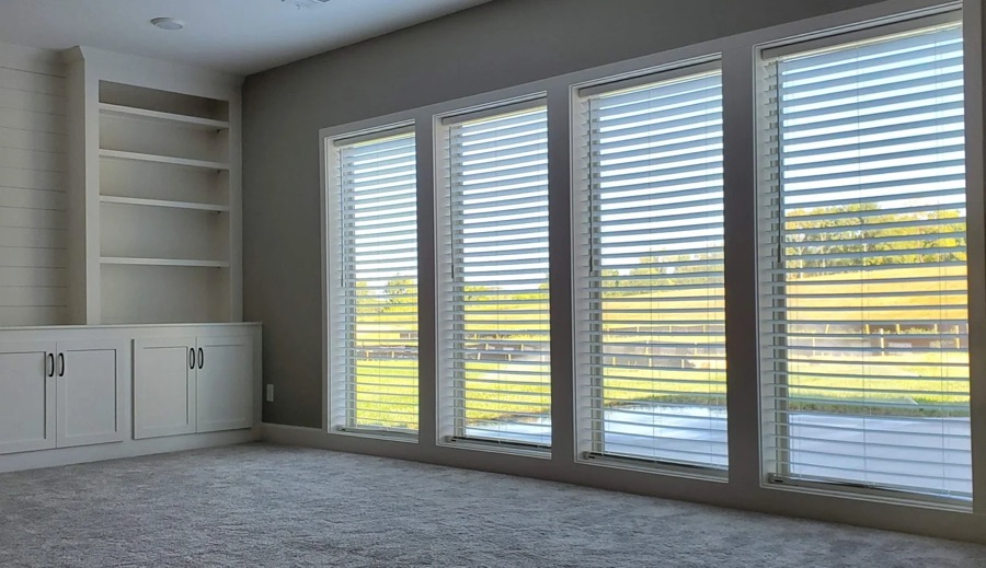 Blinds in Tea, SD